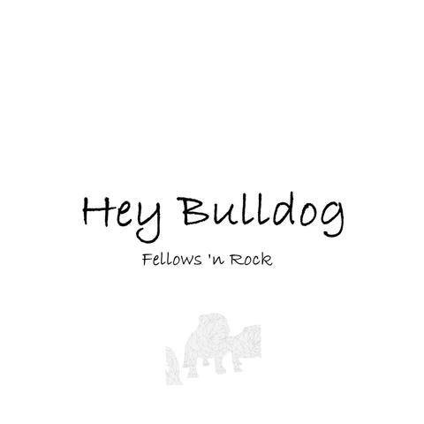 Hey Bulldog