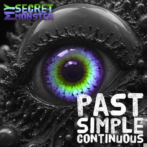 Past Simple Continuous