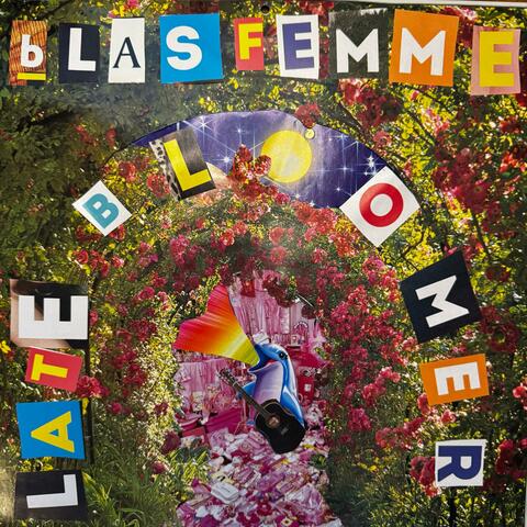 Late Bloomer