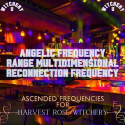 The Angelic Frequency Range Multidimensional Reconnection Frequency (Frequency Shot)