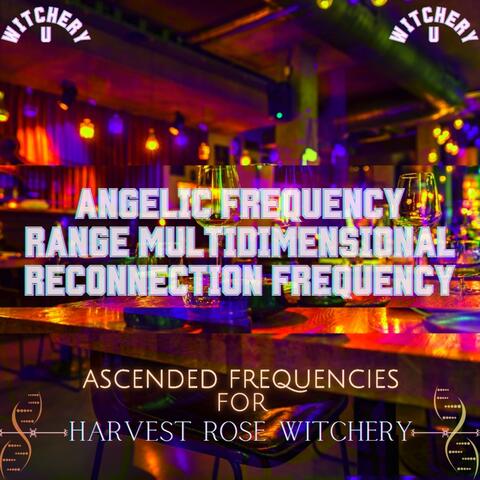 The Angelic Frequency Range Multidimensional Reconnection Frequency (Frequency Shot)