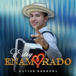 Estoy Enamorado