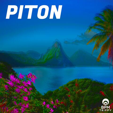 Piton