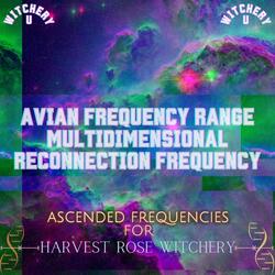 The Avian Frequency Range Multidimensional Reconnection Frequency (Frequency Shot)