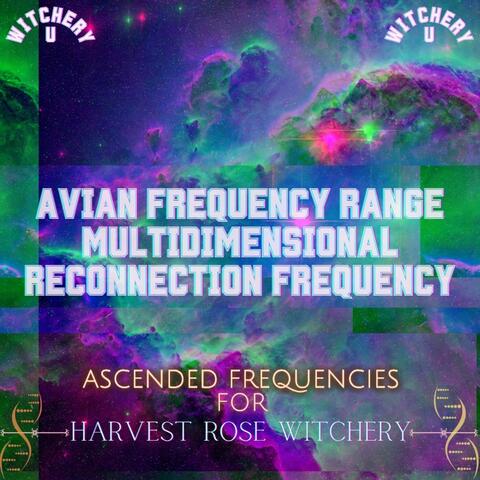 The Avian Frequency Range Multidimensional Reconnection Frequency (Frequency Shot)