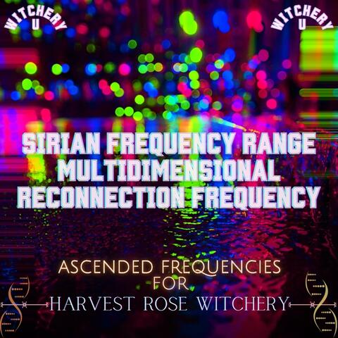 The Sirian Frequency Range Multidimensional Reconnection Frequency (Frequency Shot)