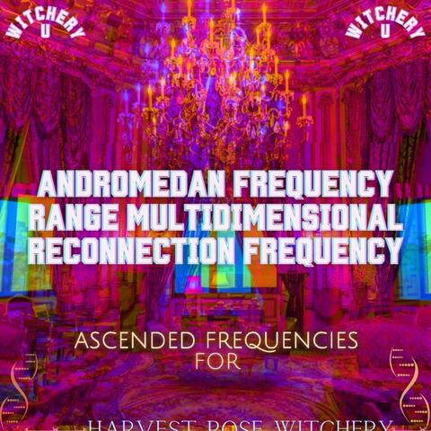 The Andromedan Frequency Range Multidimensional Reconnection Frequency (Frequency Shot)