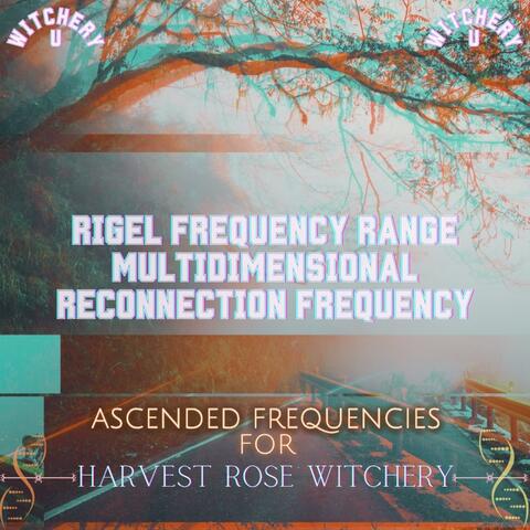 The Rigel Frequency Range Multidimensional Reconnection Frequency (Frequency Shot)