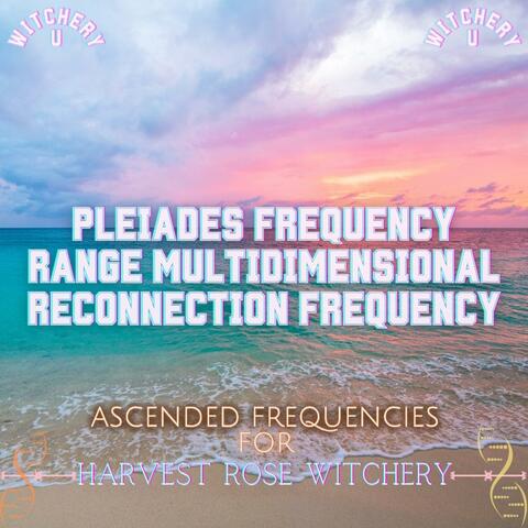 The Pleiades Frequency Range Multidimensional Reconnection Frequency (Frequency Shot)
