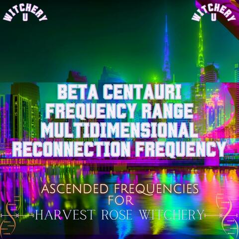 The Beta Centauri Frequency Range Multidimensional Reconnection Frequency (Frequency Shot)
