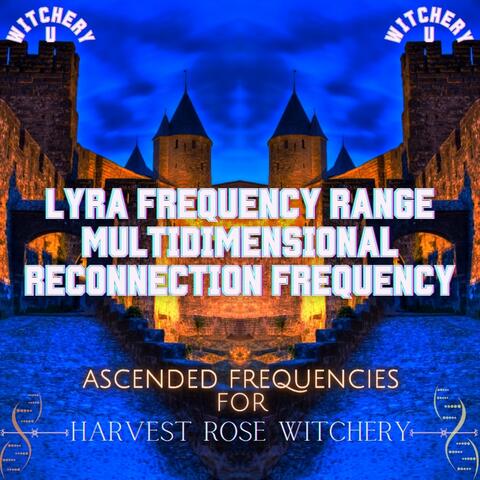 The Lyra Frequency Range Multidimensional Reconnection Frequency (Frequency Shot)