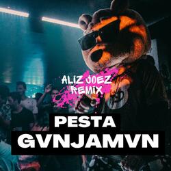 PESTA GVNJAMVN