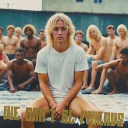 we can't be friends (wait for your love)