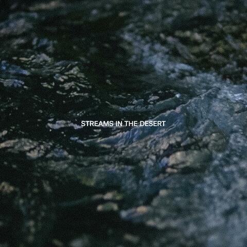 Streams In The Desert