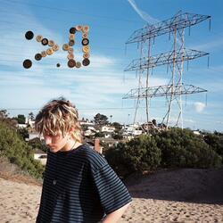 Take the dead bird in the radiator out