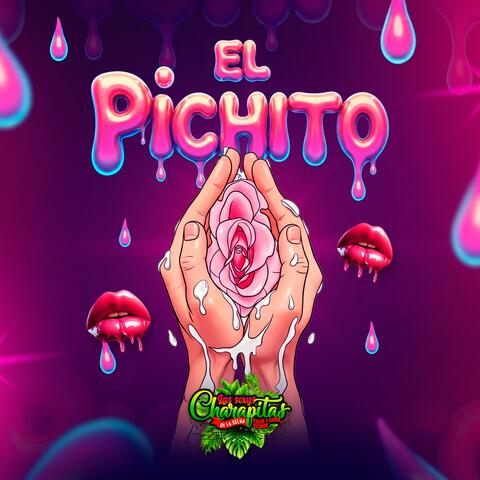El Pichito