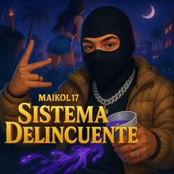 Sistema, Delincuente