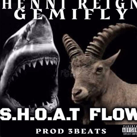 Shoat flow (feat. Gemifly)