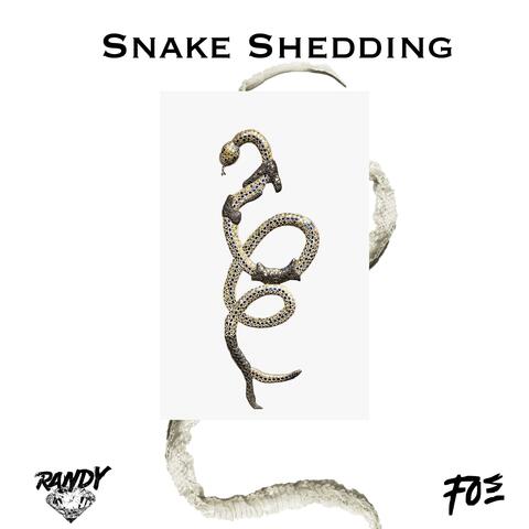 Snake Shedding