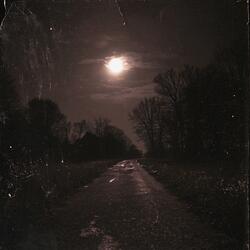 Halloween Night Ambience