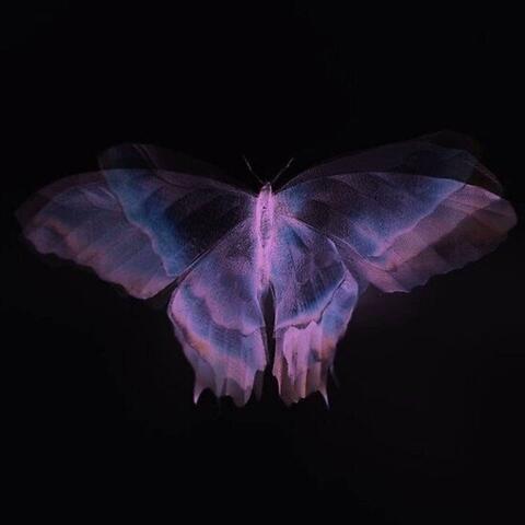 liminal