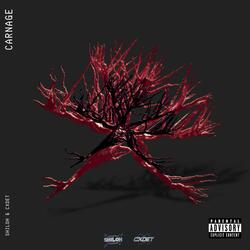 CARNAGE! (feat. Cxdet)