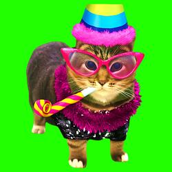 OIIA OIIA HAPPY BIRTHDAY Spinning CAT (Slowed) (XertXetin Remix)