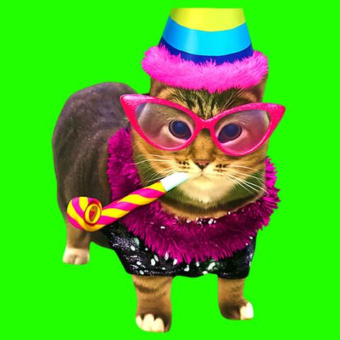 OIIA OIIA HAPPY BIRTHDAY Spinning CAT