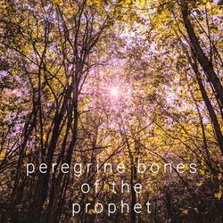 peregrine bones of the prophet