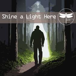 Shine A Light Here