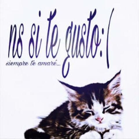 ns si te gusto :(
