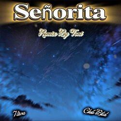 SEÑORITA (Afro Type Beat 2025)