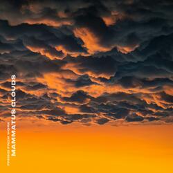 Mammatus Clouds