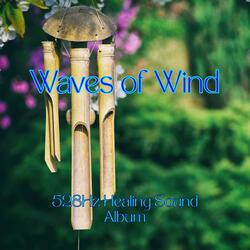 Message from The Wind