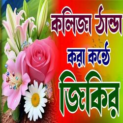 কলিজা ঠান্ডা করা কন্ঠে জিকির best nice zikir