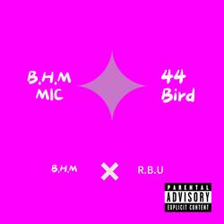 BIRD-MIC (feat. 44 Bird)