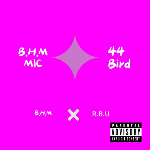 BIRD-MIC (feat. 44 Bird)