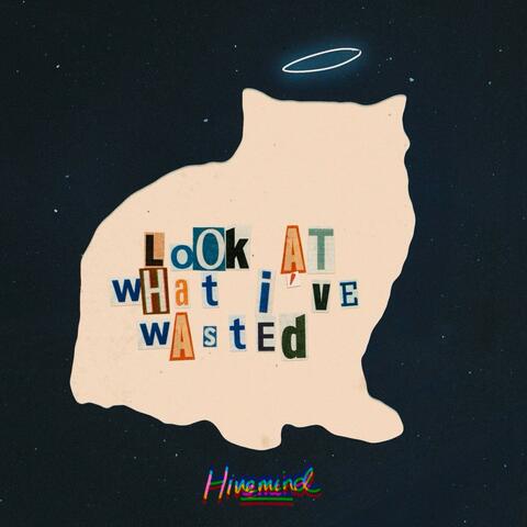 Look At What I've Wasted