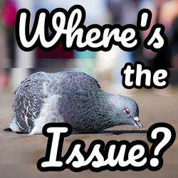 Where's the Issue?