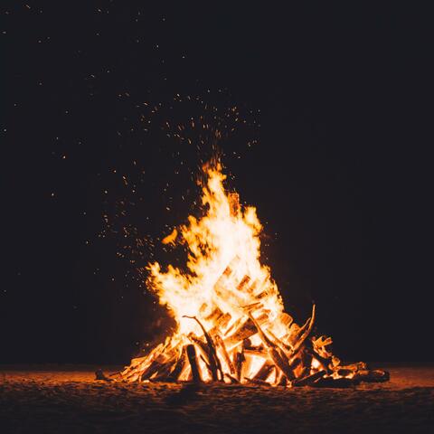 things we left behind in the fire