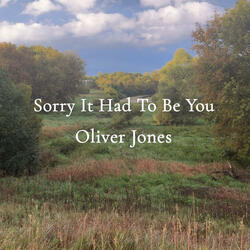 Sorry It Had To Be You