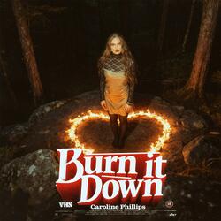 Burn It Down