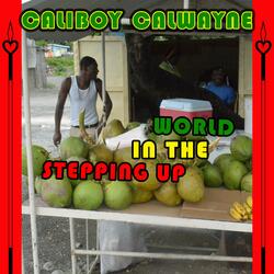 Stepping Up in the World