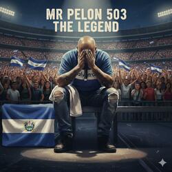 Mr pelon 503