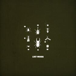 lost woods