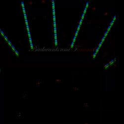 Peace After The Dark