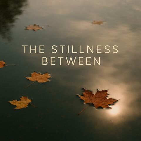 The Stillness Between