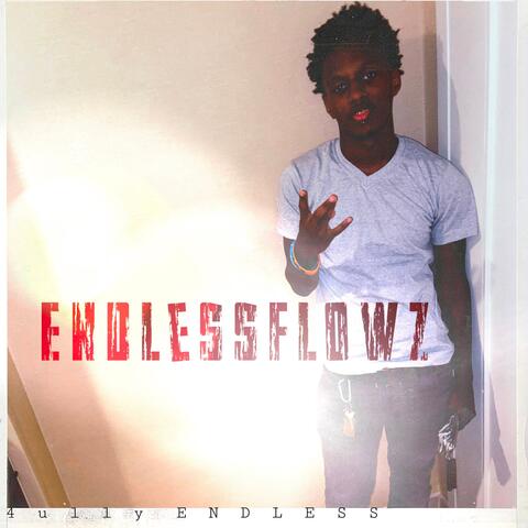 EndlessFlowz