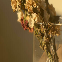 The night comes and peace sets in