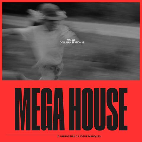 MEGA HOUSE